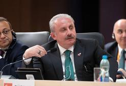 Şentop: AB'nin, bazı ülkelerin kaprislerine, manasız siyasi ve dini ön koşullarına esir olması kabul edilemez