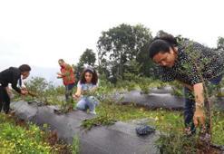 Bakanlıktan, ortakların çoğunluğu kadın olan kooperatiflere pozitif ayrımcılık
