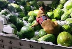 Karpuz yüklü TIR'da 62,5 litre sıvı metamfetamin ele geçirildi