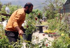 Hataylı çiçekçilerin zorlu mesaisi: Artık sadece mezarlığa giden çiçekleri satıyoruz