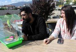 Depremzede çiftin yanlarından ayırmadıkları muhabbet kuşu kazada kayboldu