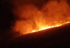 Bodrum'da makilik yangını