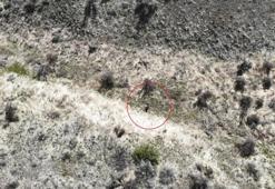 ABD’de kaybolan 3 yaşındaki çocuk, İHA yardımıyla bulundu