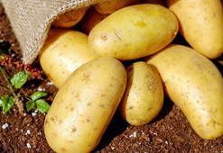 TZOB Başkanı Bayraktar: Nisanda en çok patatesin fiyatı arttı