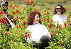 Muş'un zirveleri ters lalelerle renklendi