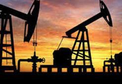 TPAO: 1 milyar varil petrolün bulunduğu bölgede yeni keşif potansiyeli yüksek