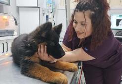 Meksika'ya gönderilen 'Arkadaş', Türk bayraklı yelekle görev yapacak