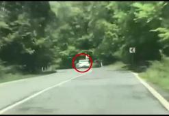 Jandarmadan silah kaçakçılığı operasyonu: 4 gözaltı