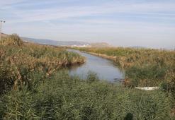 'Gediz Havzası'nın korunmasına yönelik eylem planı, yürürlüğe girdi
