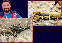 Doç. Dr. Yılmaz: Deprem bölgesi acillerinde akrep ve yılan sokması artışı yaşanıyor