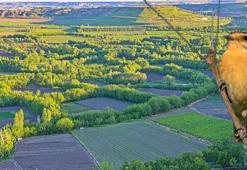 Hevsel Bahçeleri'nde üreme sezonu başladı; kuş sesleri yankılanıyor