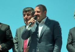 Bakan Varank: Siyasette şiddet olmaz ama siz de ikiyüzlülüğü bırakın