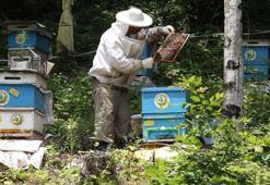 Bakanlıktan depremzede arıcılara şeker desteği