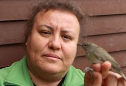 Kızılırmak Deltası'nda 175 türden 165 bin kuş halkalandı