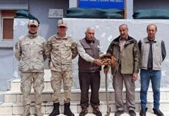 Salep soğanı toplayan 2 kişiye 220 bin lira ceza