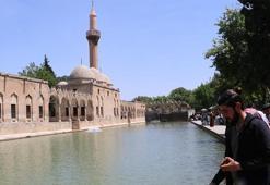 Balıklıgöl artık berrak