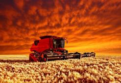 “Karadeniz Tahıl Girişimi Türkiye’nin uluslararası aktör konumunu güçlendiriyor"