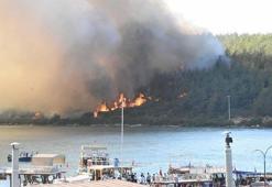 Bodrum'da 2 yıl önce ormanı yakan şüpheliyi, telefon mesajı yakalattı