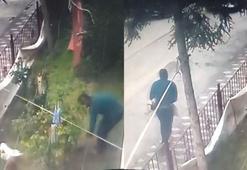 Ankara'da apartman bahçesinden ördek hırsızlığı kamerada