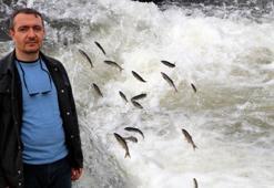 Dr. Akkuş: Su yönetimi olmazsa milyarlarca inci kefalinin öldüğünü göreceğiz