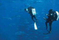 Türk balıkçılar, mavi yüzgeçli orkinos avcılığı için 'vira bismillah' diyecek