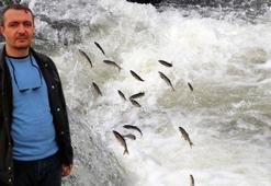 Dr. Akkuş: Su yönetimi olmazsa milyarlarca inci kefalinin öldüğünü göreceğiz