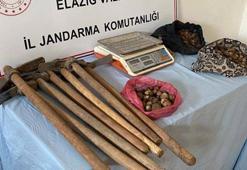 Salep soğanı toplayan 4 kişiye 438 bin 372 lira ceza