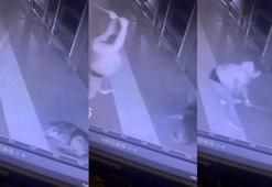Sever gibi yaptığı köpeğe fırça sapıyla saldırdı, o anlar kamerada