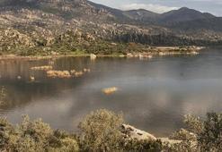 20 sulak alan, yok olma tehlikesiyle karşı karşıya