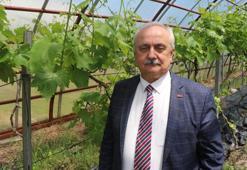 Prof. Dr. Demir : Aşırı sıcaklık tarım ve su kaynaklarında problem yaratabilir