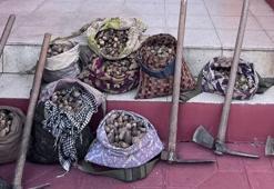 Salep soğanı toplayan 6 kişiye 680 bin lira ceza