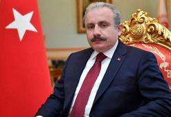 Şentop: Gençlerimizin enerjisiyle Meclisimiz daha da güçlenecek