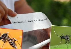 Asya kaplan sivrisineğine dikkat