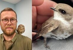 Yaralı kuşlara şifa oluyor