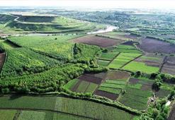 UNESCO listesindeki Hevsel Bahçeleri'nin biyoçeşitliliği kayıt altına alınıyor