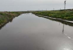 Ergene Nehri'nin suyu 3'üncü derece kirli çıktı