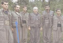 Bakan Soylu: Tekirdağ'da 24 kişi gözaltına alındı