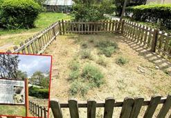 Endemik bitki türlerine üniversitelerden koruma kalkanı