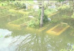 Suya gömülen mezarlığa 'nakil' talebi