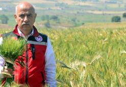 Bakan Kirişci: Buğdayda 21 milyon ton rekolte bekliyoruz