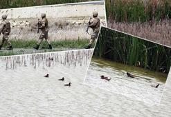 Van Gölü Havzası'ndaki dikkuyrukları, jandarma koruyor