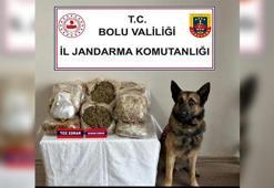 'Asır' ile aramada otobüste 17 kilo esrar bulundu