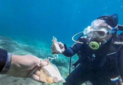 Plastik poşetlerle atılan Hıdırellez dilekleri, deniz ekosistemine zarar veriyor