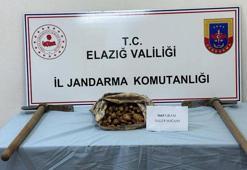 Elazığ'da salep soğanı toplayan kişiye 110 bin lira ceza