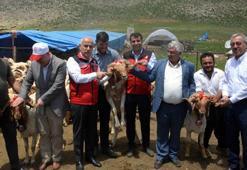 Depremde ölen 43 bin 618 küçükbaş hayvanın dağıtımı Kahramanmaraş'ta başladı