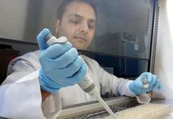 Biyoteknolojik gübre rekolteyi artıracak, maliyetleri düşürecek