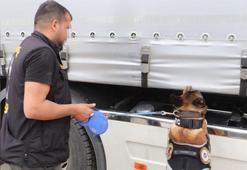 'Kanas' ile aramada TIR'da, 537 kilo likit metamfetamin ele geçirildi