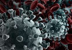 Prof. Dr. Mandel: Kanserde asrın buluşu genetik profilleme