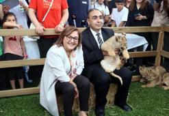 Cumhurbaşkanı Erdoğan'a hediye edilen aslanların dördüzleri oldu