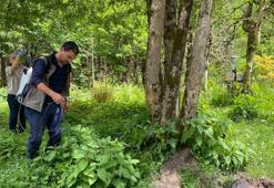 Kuruyan ormana 'biyolojik kontrol ajan'lı mücadele model oldu